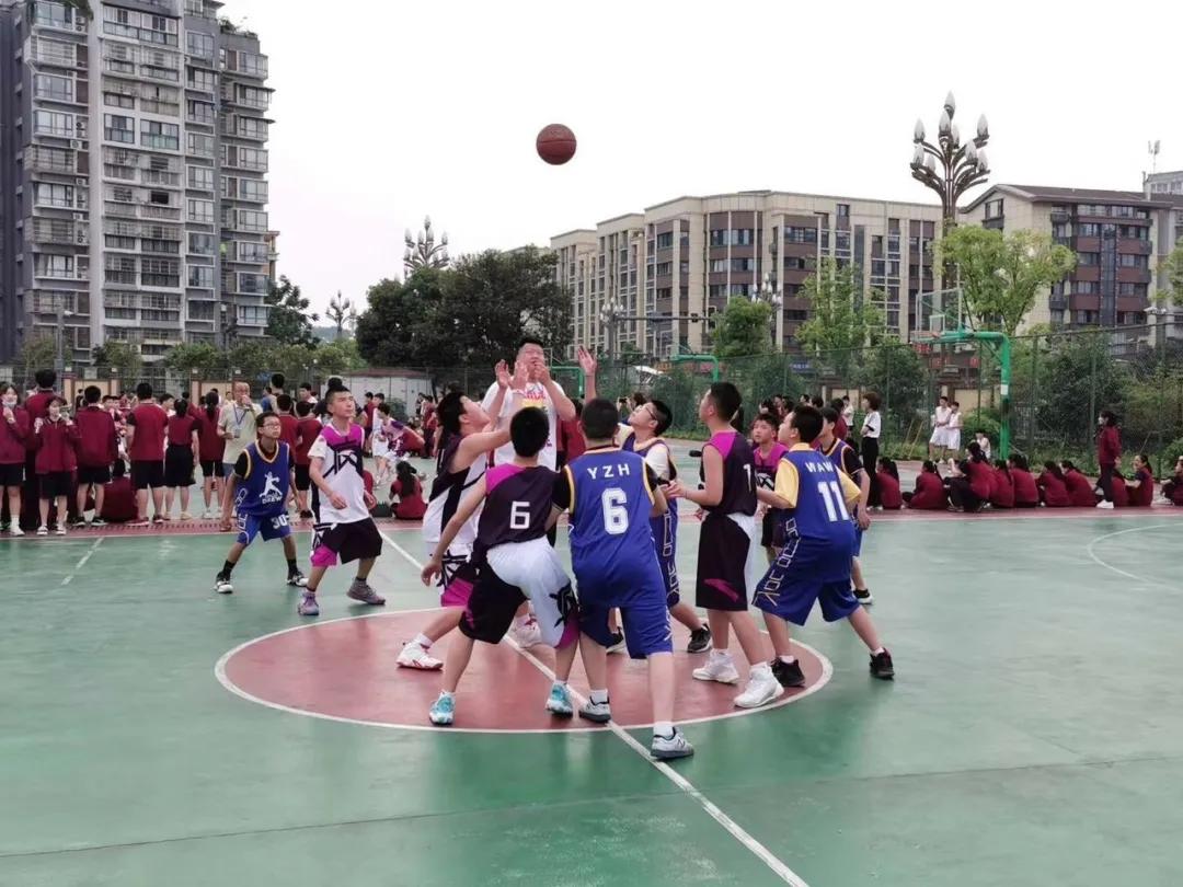 篮球与蓝球，一场关于运动与色彩的探索