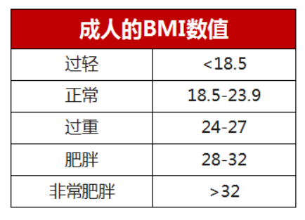 体脂秤怎么测才科学?避开这5个坑,数据才靠谱 体脂秤怎么测才科学?避开这5个坑,数据才靠谱