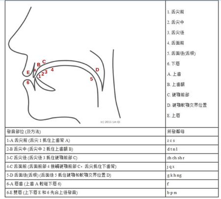 L音怎么发?——从舌位到发音的全面解析 L音怎么发?——从舌位到发音的全面解析